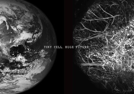 Tiny cell, huge future image.